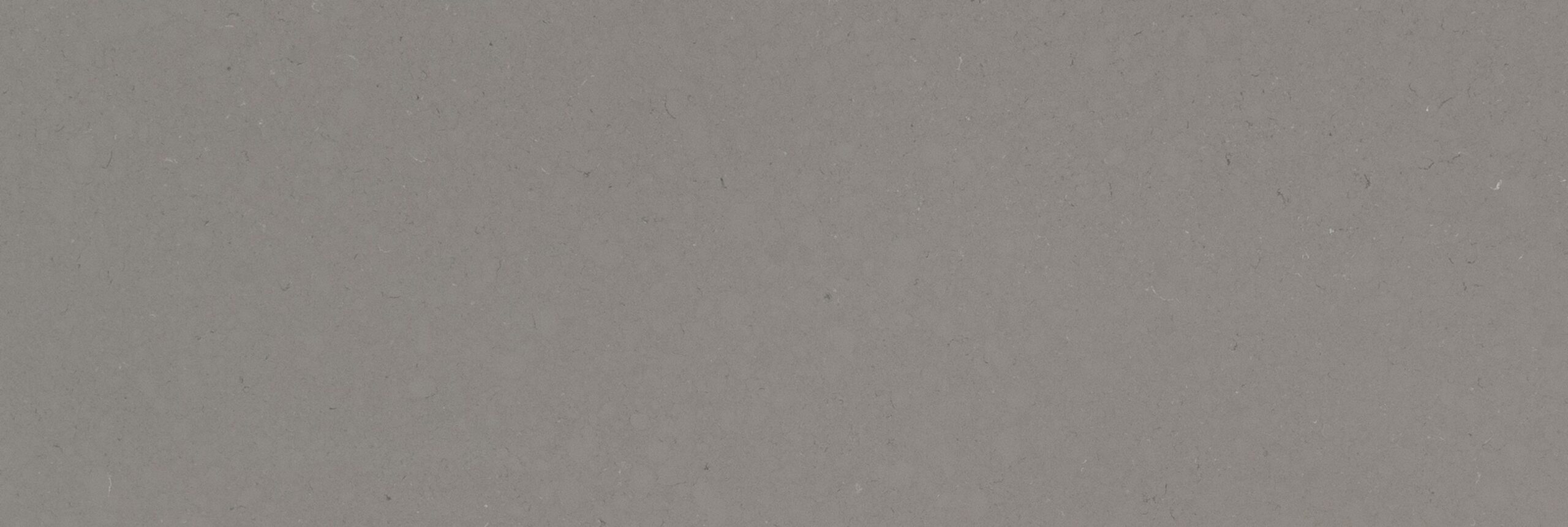 Fossil Gray Quartz Countertop